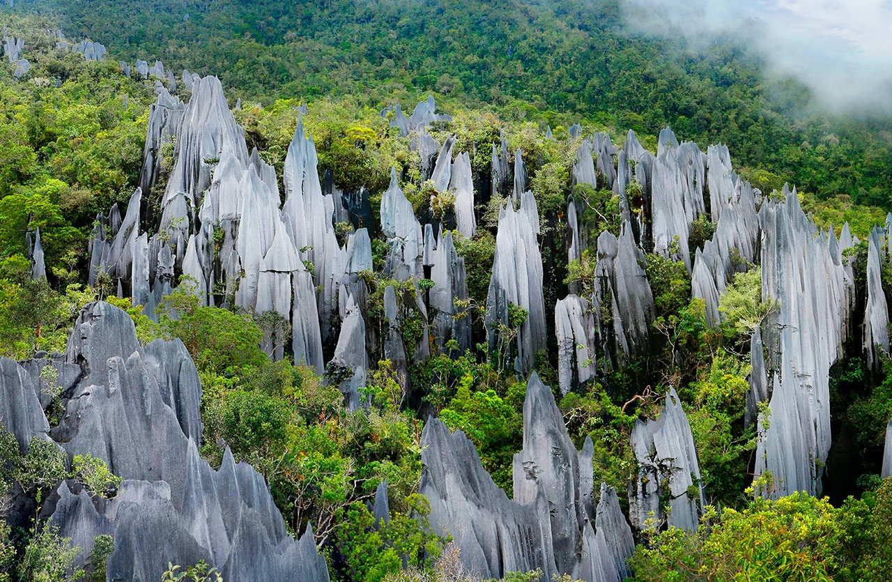 Gunung Mulu National Park